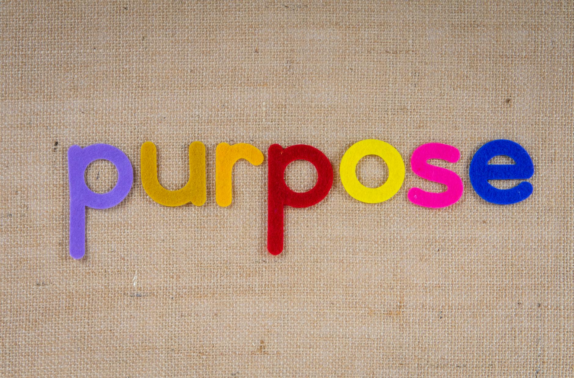 How to Shop BAF This Black Friday: Deals with a Purpose 1 colorful cutouts of the word purpose. black friday.