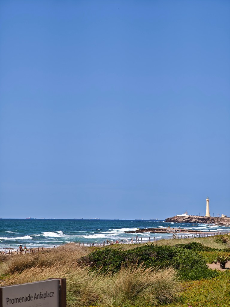 Casablanca: Here's Looking at You, Beautiful Contradiction 1 MVIMG 20260616 160836