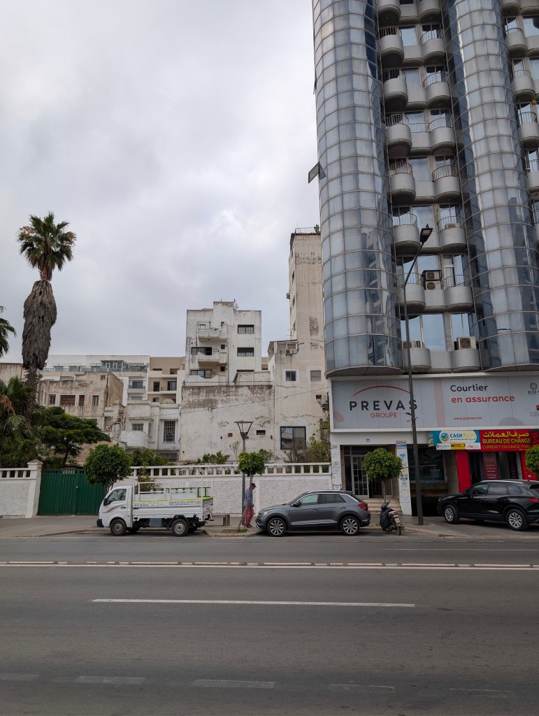 Casablanca: Here's Looking at You, Beautiful Contradiction 17 PXL 20260617 093056878.RAW 01