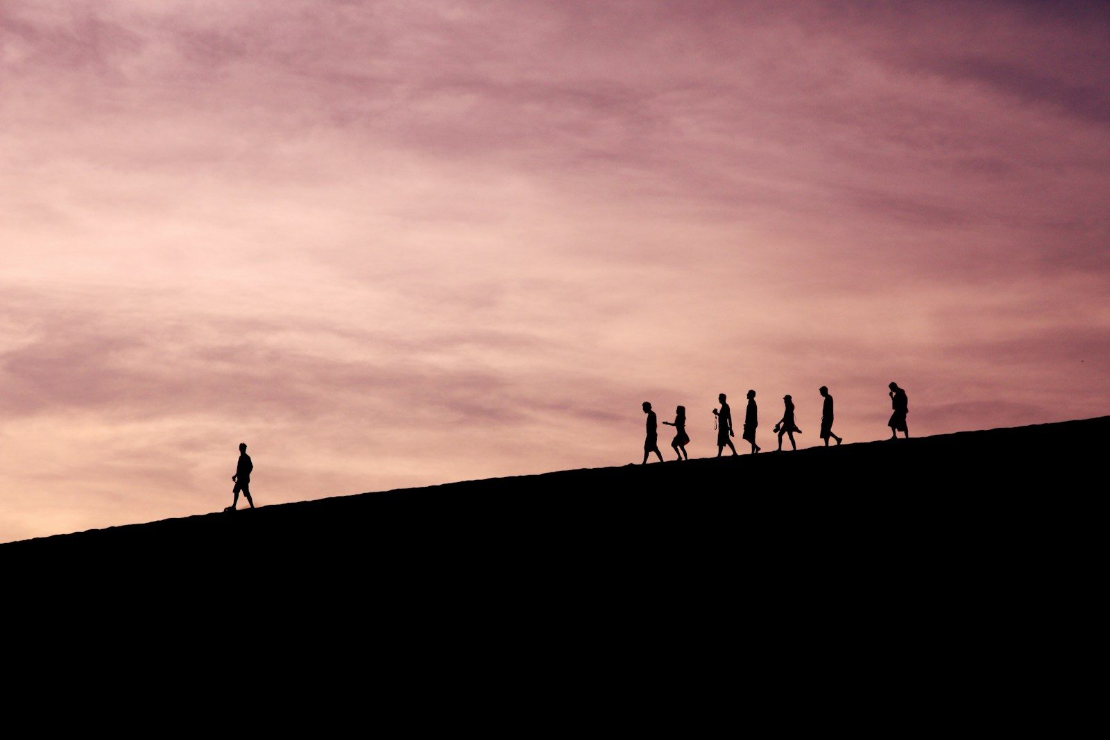 Leadership Transition in Nonprofit Organizations 1 silhouette of people on hill. leadership transition. leadership transition